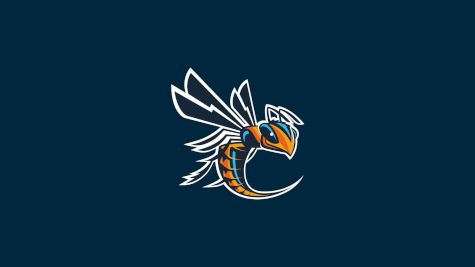 Cedarville Track & Field