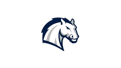 Hillsdale Men's Basketball