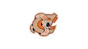 Coaldale Copperheads
