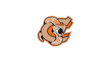 Coaldale Copperheads