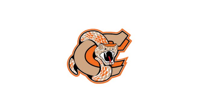 Coaldale Copperheads