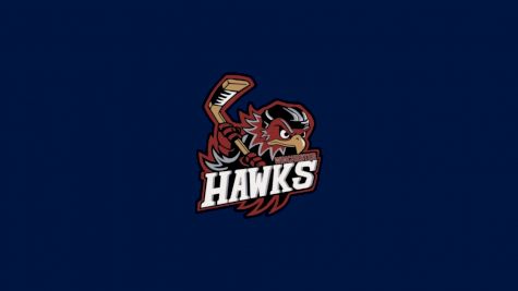 Winchester Hawks