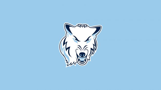 Northwood University Women's Volleyball