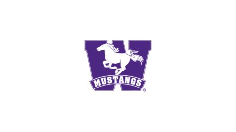 Western (ON) University Men's Hockey