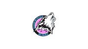 Wood Buffalo Huskies U13 AA (G)