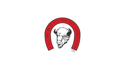 Calgary (CBHA) Bulls U17 AAA