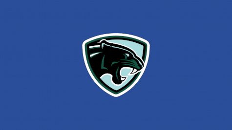 Peninsula Panthers