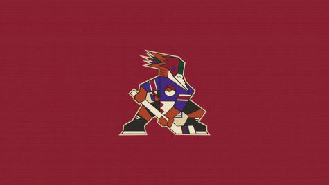 Tucson Roadrunners