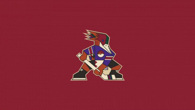 Tucson Roadrunners