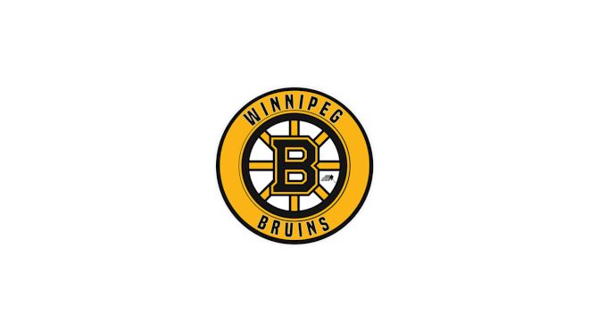 Winnipeg Bruins Black U15 AAA