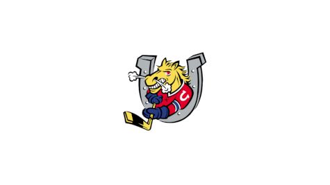 Barrie Colts U12 AAA