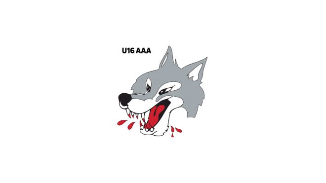Sudbury Wolves U16 AAA