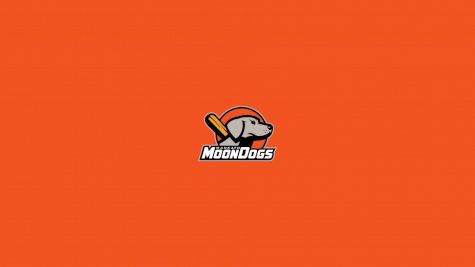 Mankato MoonDogs