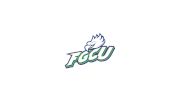 D2 FL Gulf Coast Men's Club Hockey