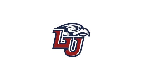 D2 Liberty University Men's Club Hockey