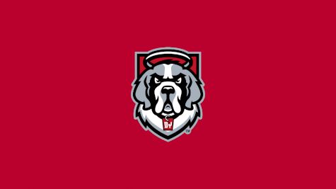 D'Youville Men's Volleyball