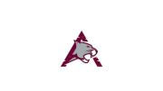 D2 Assiniboine Community College Women's Club Hockey