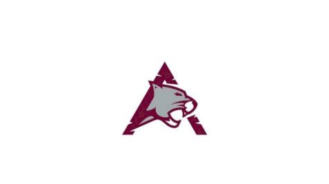 D2 Assiniboine Community College Women's Club Hockey