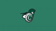 VTSU-Castleton Men's Ice Hockey