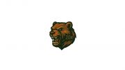 204 Bears U13