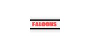 Matterhorn Futures Team Falcons