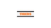 Matterhorn Futures Team Tigers