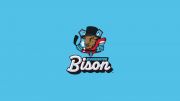 Bloomington Bison