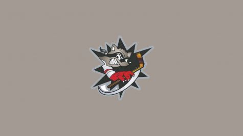 Bridgewater Bandits (EHL Premier)