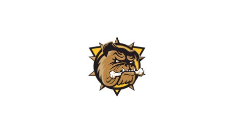 Brantford Bulldogs