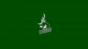 Cranbrook Bucks