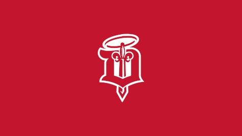 Dubuque Fighting Saints