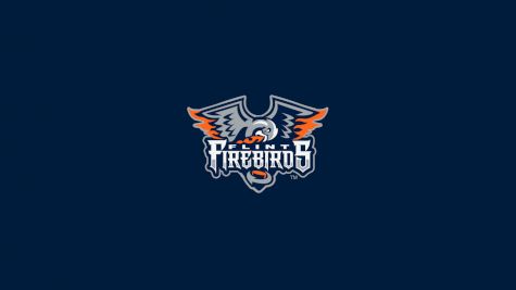 Flint Firebirds