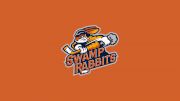 Greenville Swamp Rabbits