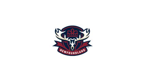 Newfoundland Regiment