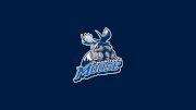 Manitoba Moose