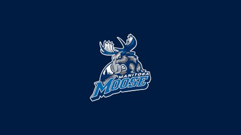 Manitoba Moose
