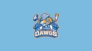 Roanoke Rail Yard Dawgs
