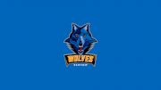 Renfrew Wolves