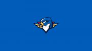 Springfield Thunderbirds