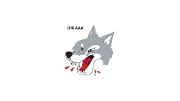 Sudbury Wolves U16 AAA