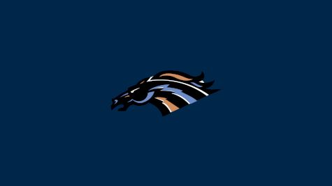 Swan Valley Stampeders
