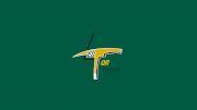 Val-d'Or Foreurs