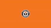 Yorkton Terriers