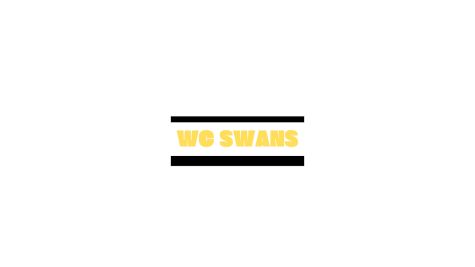 WC Swans Gold U16 (G)