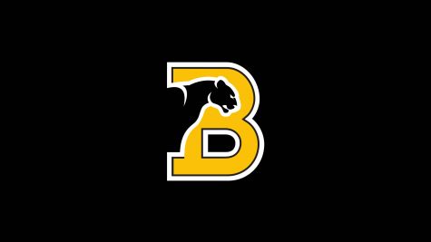 Birmingham-Southern Women's Basketball