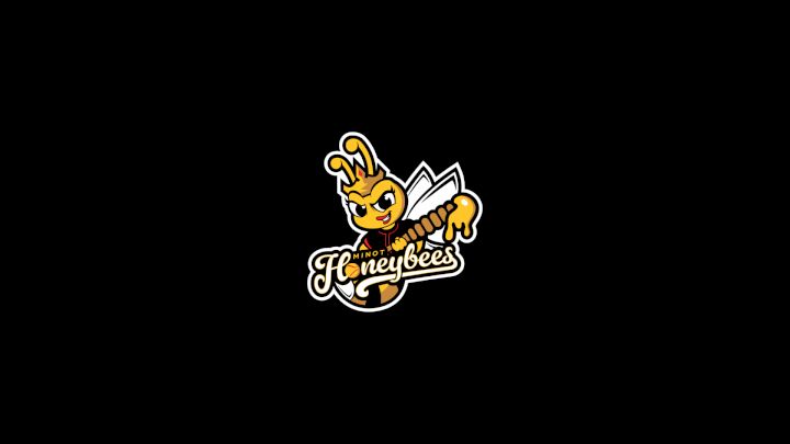 Minot Honeybees