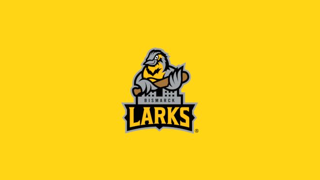 Bismarck Larks
