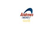 AHG Team Gold U13