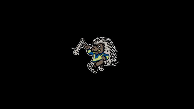 Energy City Cactus Rats