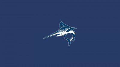 Batten Women's Lacrosse
